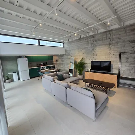 Leaf - Old * 利马索尔