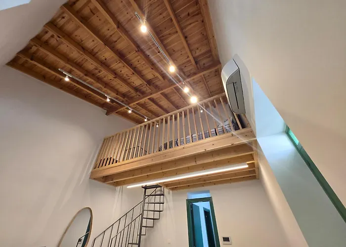 Leaf - Old * Limassol